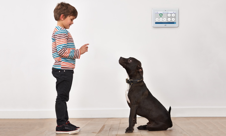 Nederland security systems